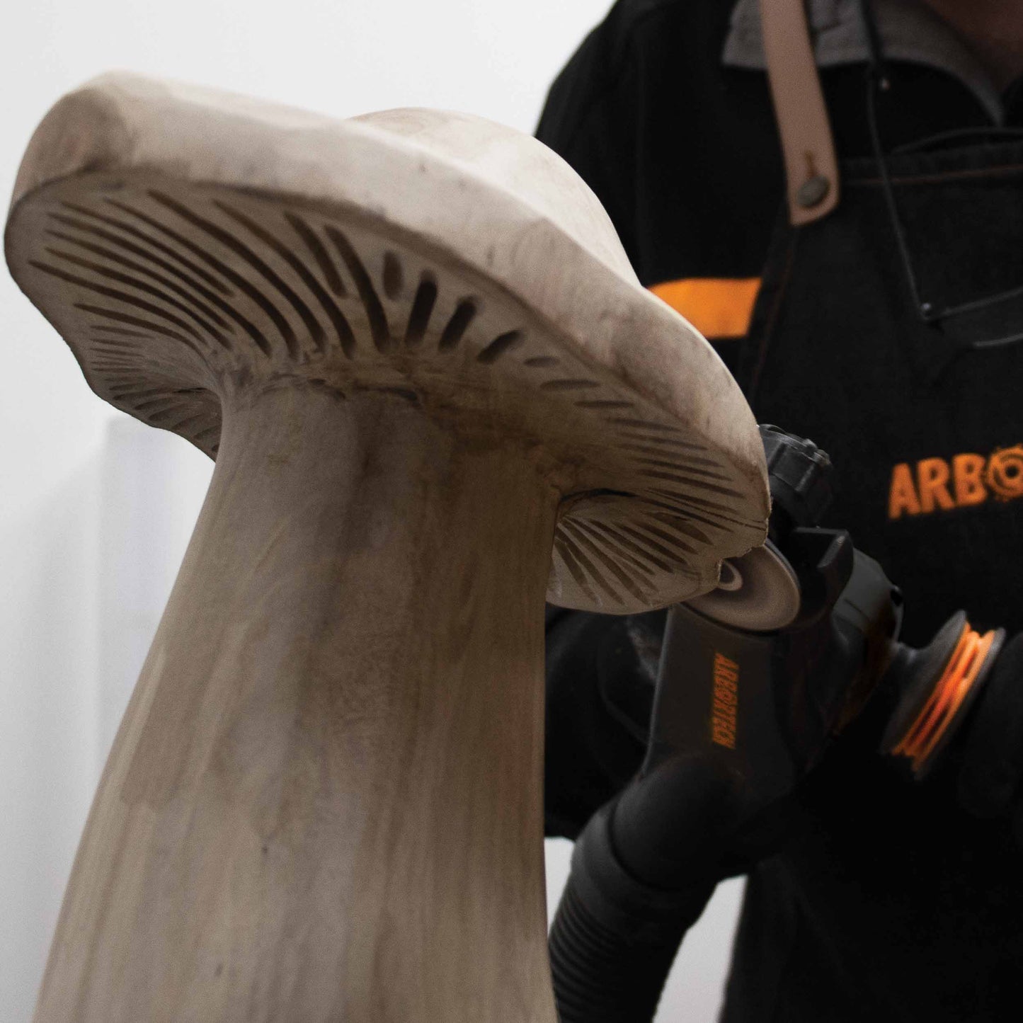 Arbortech Mini Carver 1000W Power Tool