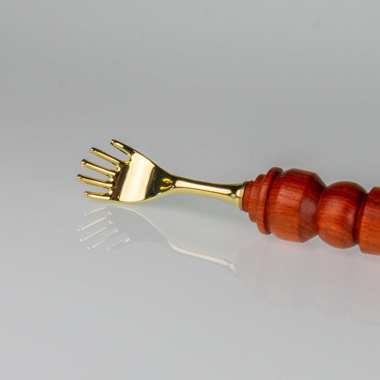 Carbatec Gold Plated Back Scratcher Kit